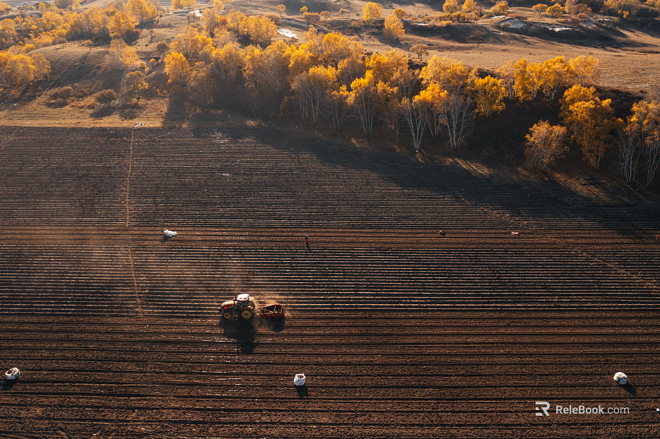 Pastoral scenery texture