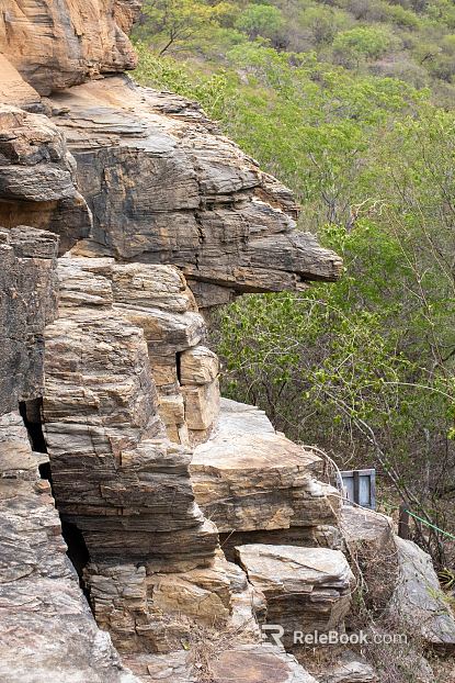 Wild Scenery texture