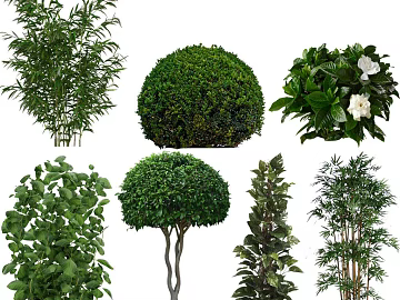 Plants texture (ID:ffacg30658)