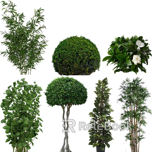 Plants texture