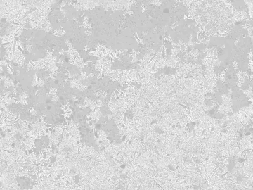 Light gray texture paint wall decoration (ID:ffaeh939664)