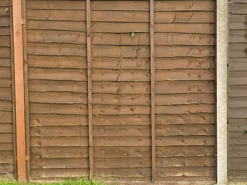 Roof interior texture (ID:ffagg92371)
