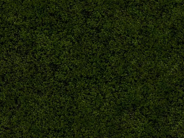 Turf texture (ID:ffajg37240)