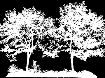 Plant Black and White Map texture (ID:ffabf2829)