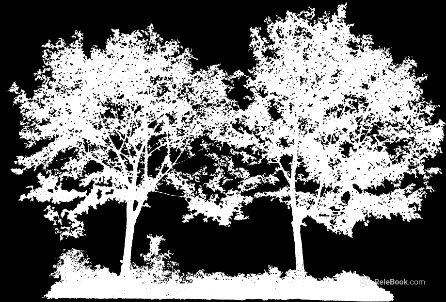 Plant Black and White Map texture
