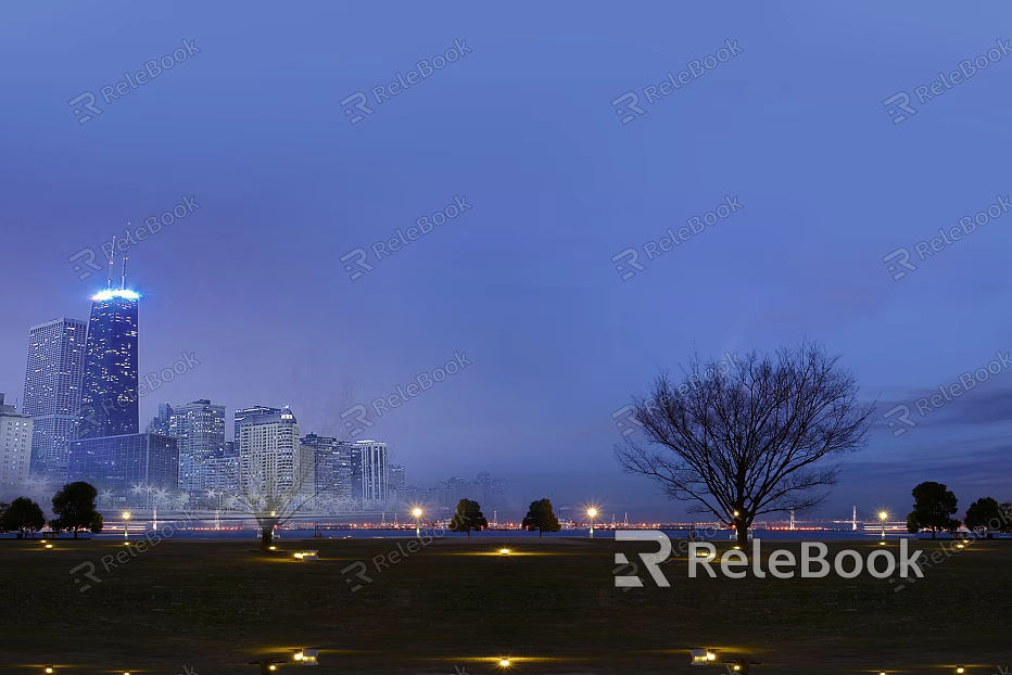 Night view texture