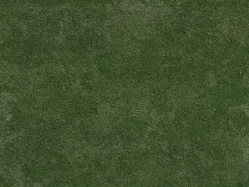 Turf texture (ID:ffajg86525)