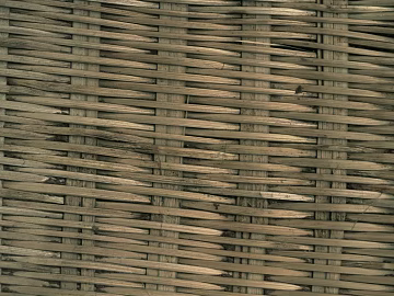 Bamboo texture (ID:ffaag33144)