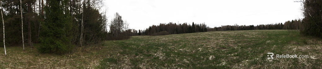 Wild Scenery texture