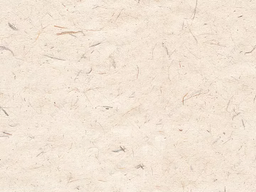 Cement white straw paint texture (ID:ffacf4949)