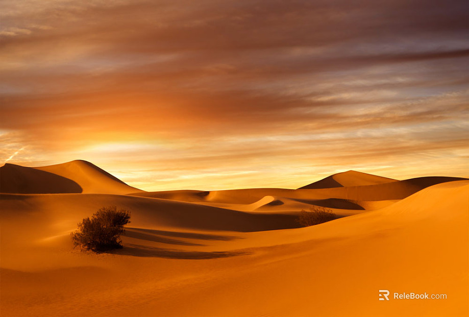 Wild Scenery texture