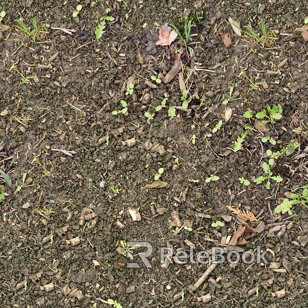 Mud texture