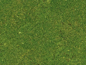 Turf texture (ID:ffajg61072)