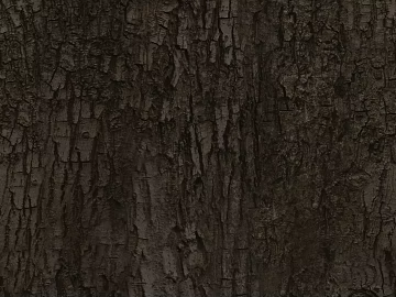 Dark brown bark, natural decorative finish texture (ID:ffaeh169359)