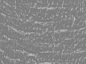 Black and White Bump texture (ID:ffaef8845)