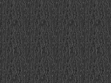 bark texture (ID:ffaeg70955)