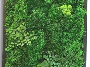 Plant wall texture (ID:ffajg30531)