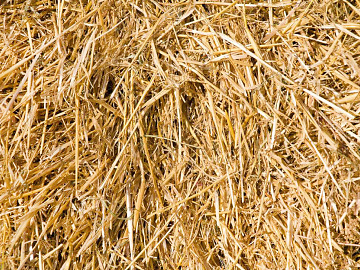 Thatch texture (ID:ffaeg46954)