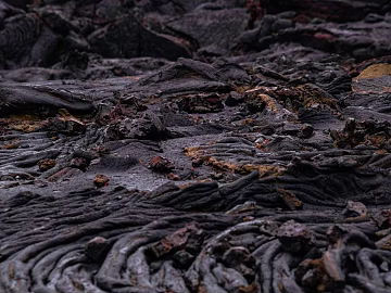 Ground texture (ID:ffagg75765)