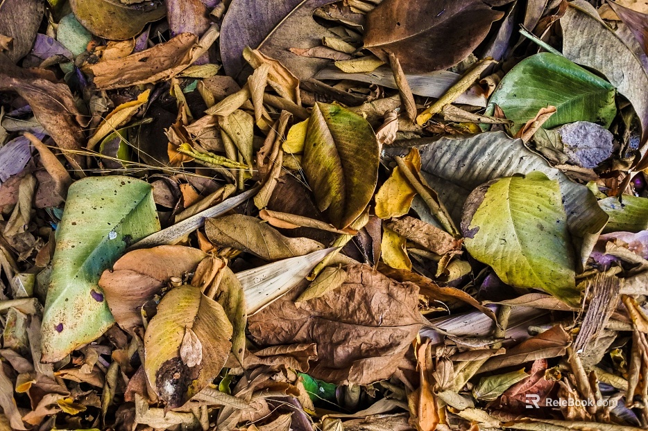 fallen leaves texture