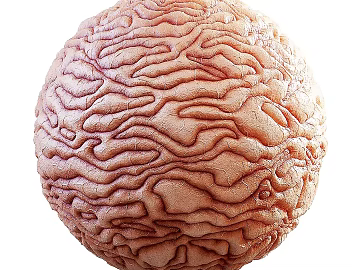 Biological Fur PBR texture (ID:ffach329994)