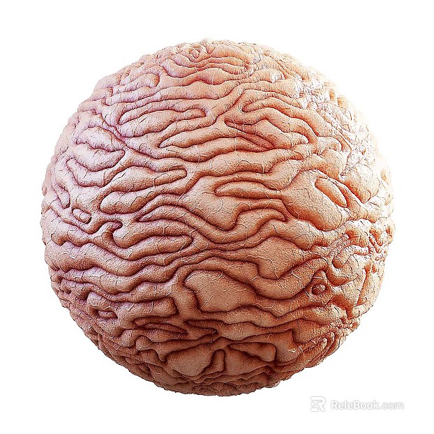 Biological Fur PBR texture