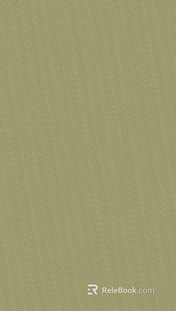 plain cloth texture