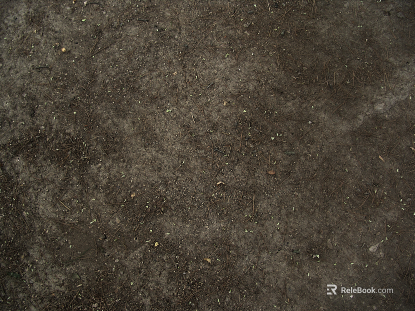 Sand texture