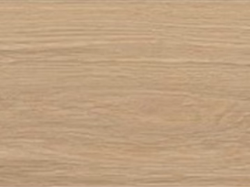 Light wood grain interior wall and floor 3d model