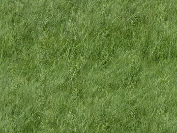 Modern Green Lawn texture (ID:ffajh945067)