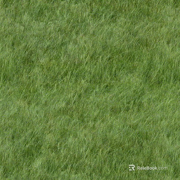 Modern Green Lawn texture