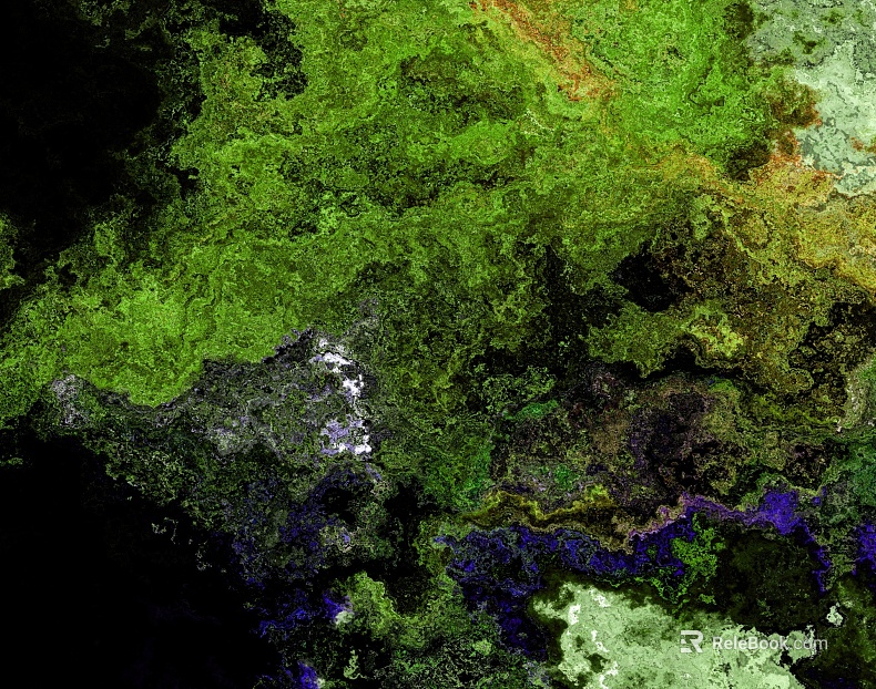 moss texture