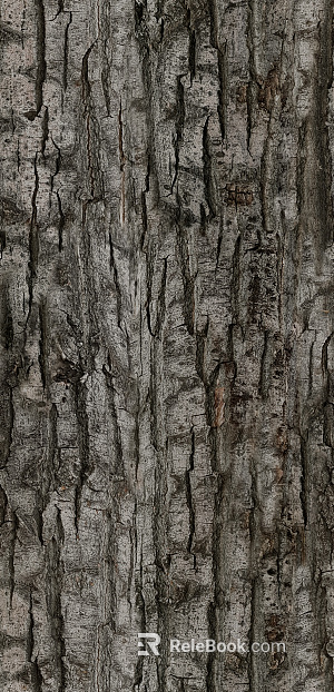 bark texture