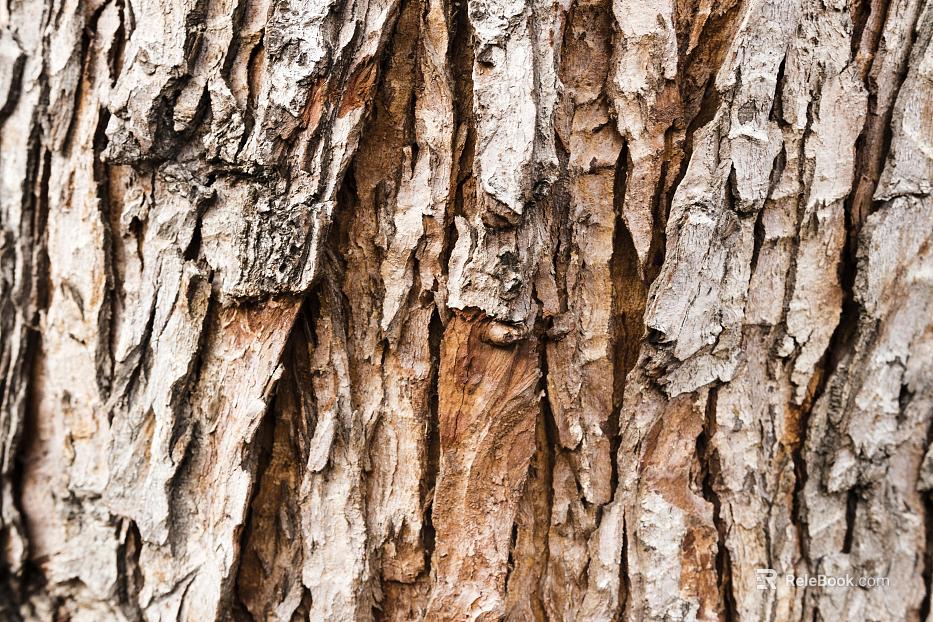 bark texture