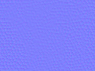 Normal Bump 3d model
