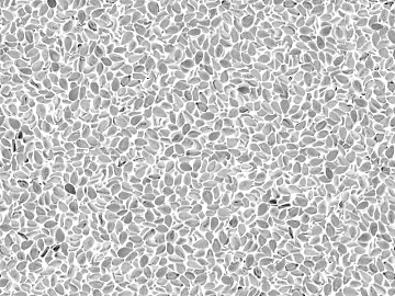 Black and White Bump texture (ID:ffacf7021)