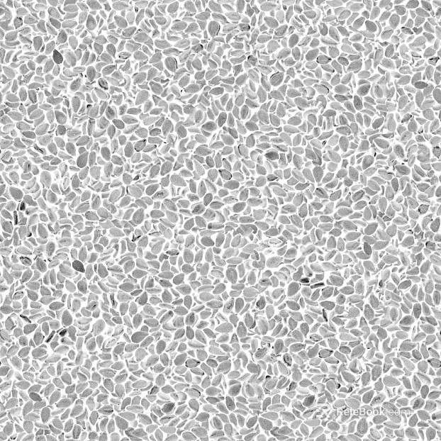 Black and White Bump texture