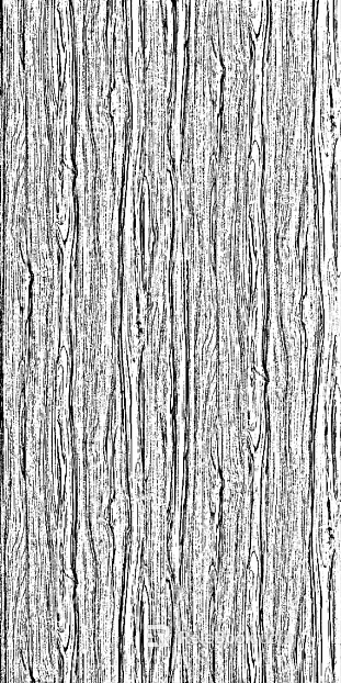 bark texture