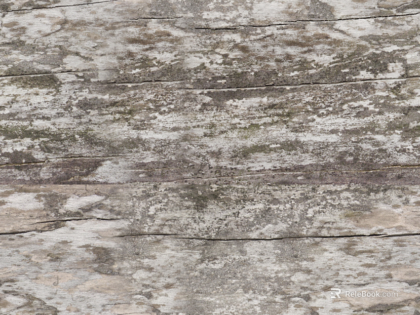 bark trunk texture