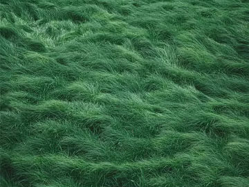 Lawn Grass texture (ID:ffach550838)