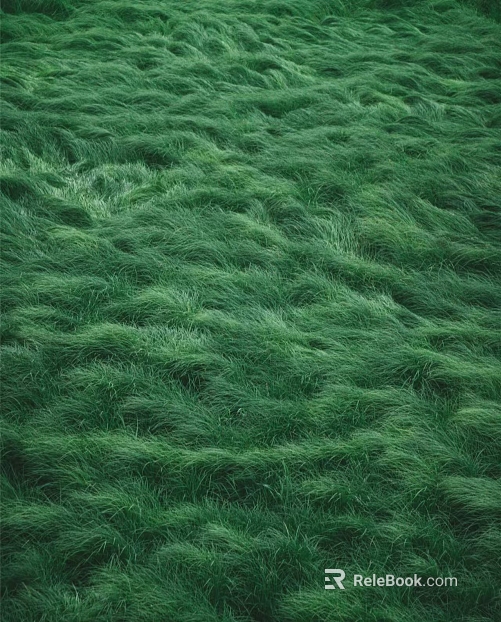 Lawn Grass texture
