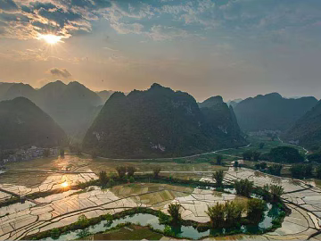Pastoral scenery texture (ID:ffacg88931)