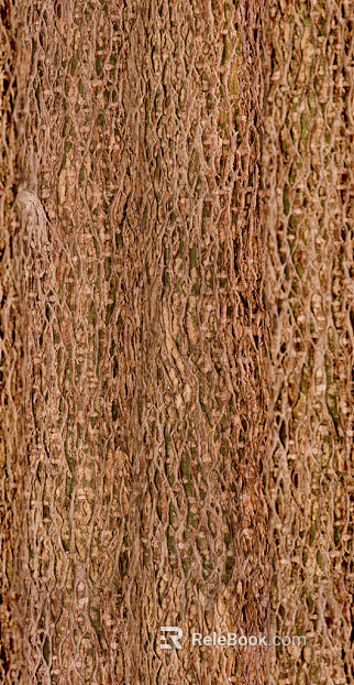 bark texture