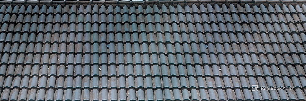 Roof texture