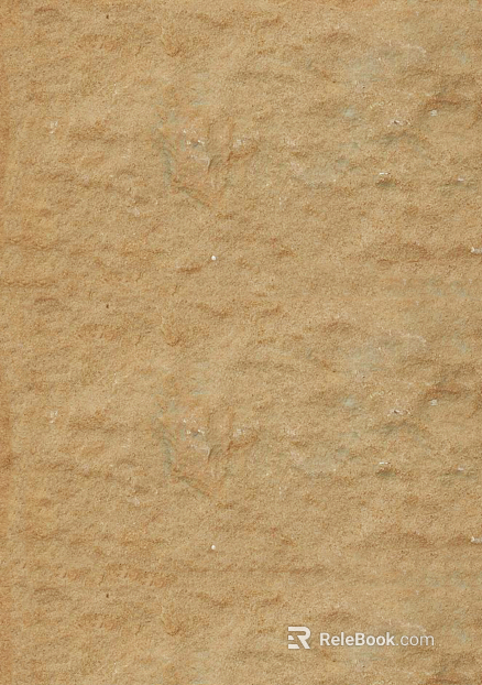 Sandstone texture