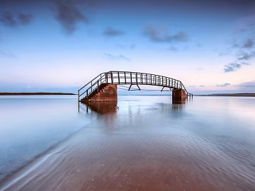 Wild Scenery texture (ID:ffagg74379)