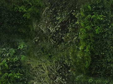 Plants texture (ID:ffaeg33449)