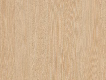 white beech texture (ID:ffhae179)