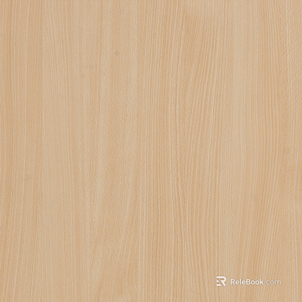 white beech texture
