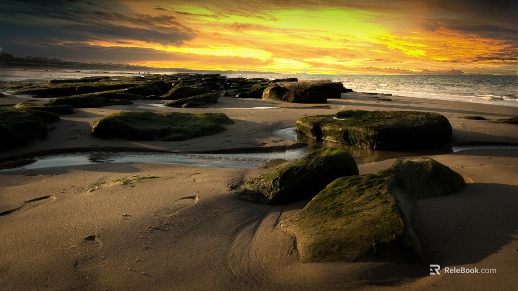 Wild Scenery texture